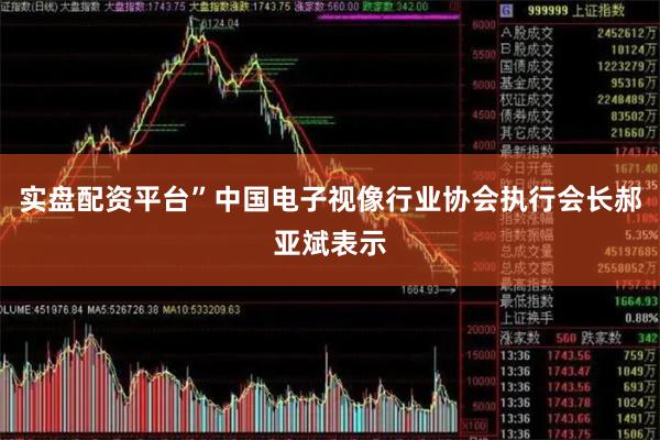 实盘配资平台”中国电子视像行业协会执行会长郝亚斌表示