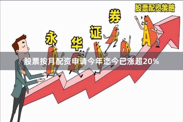 股票按月配资申请今年迄今已涨超20%