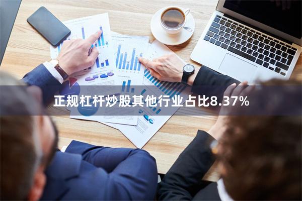 正规杠杆炒股其他行业占比8.37%